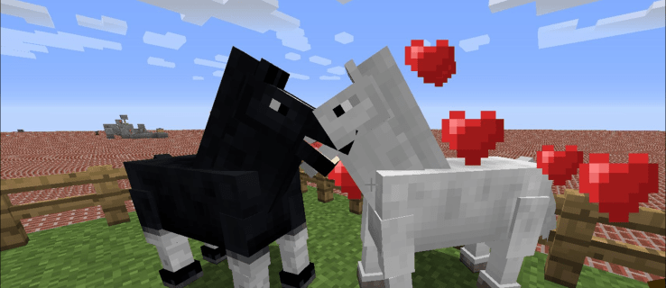 Как да развъждаме коне в Minecraft