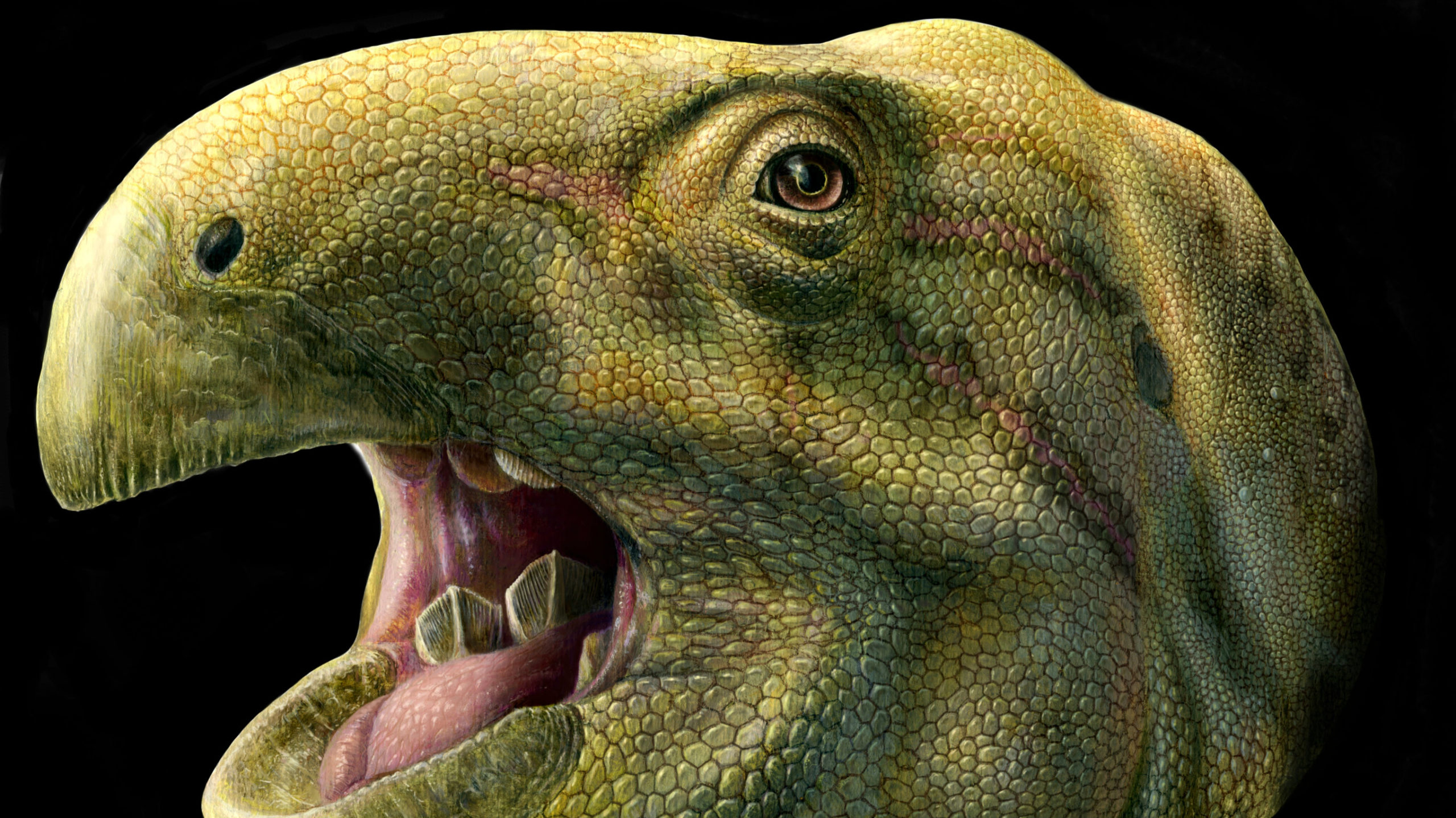 Този „грозен“ динозавър имаше гигантски зъби, подобни на ножица